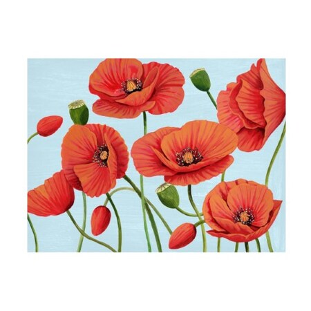 Trademark Fine Art Grace Popp 'Poppy Topple III' Canvas Art, 35x47 WAG16845-C3547GG